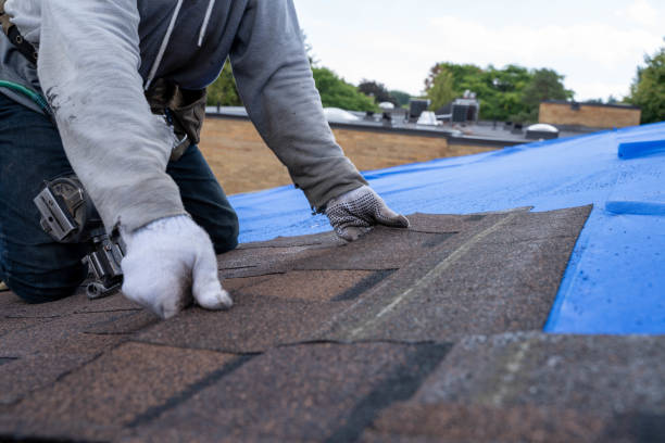 Best Slate Roofing Contractor  in Ferndale, MD