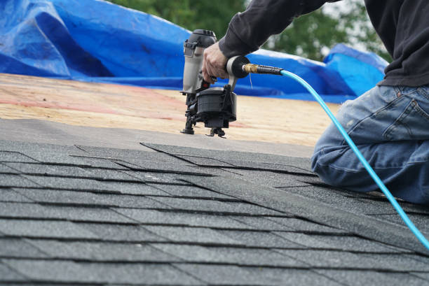 Best Roof Leak Repair  in Ferndale, MD