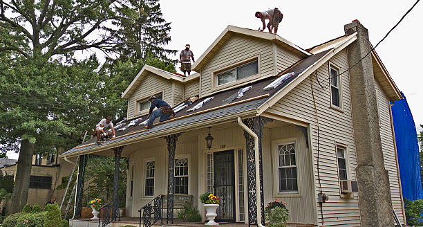 Best Roof Gutter Cleaning  in Ferndale, MD